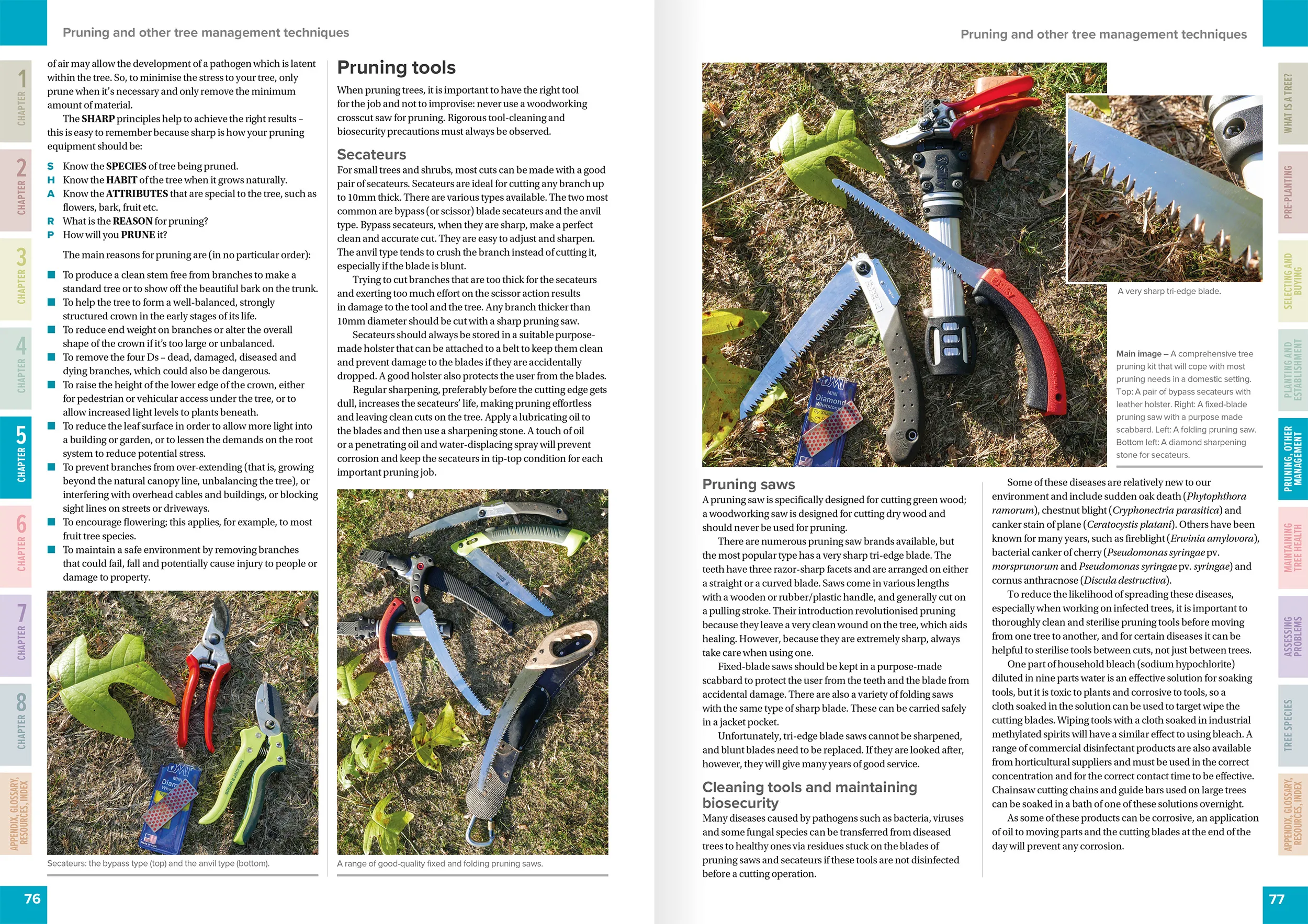 TCM Ch5 Spread1