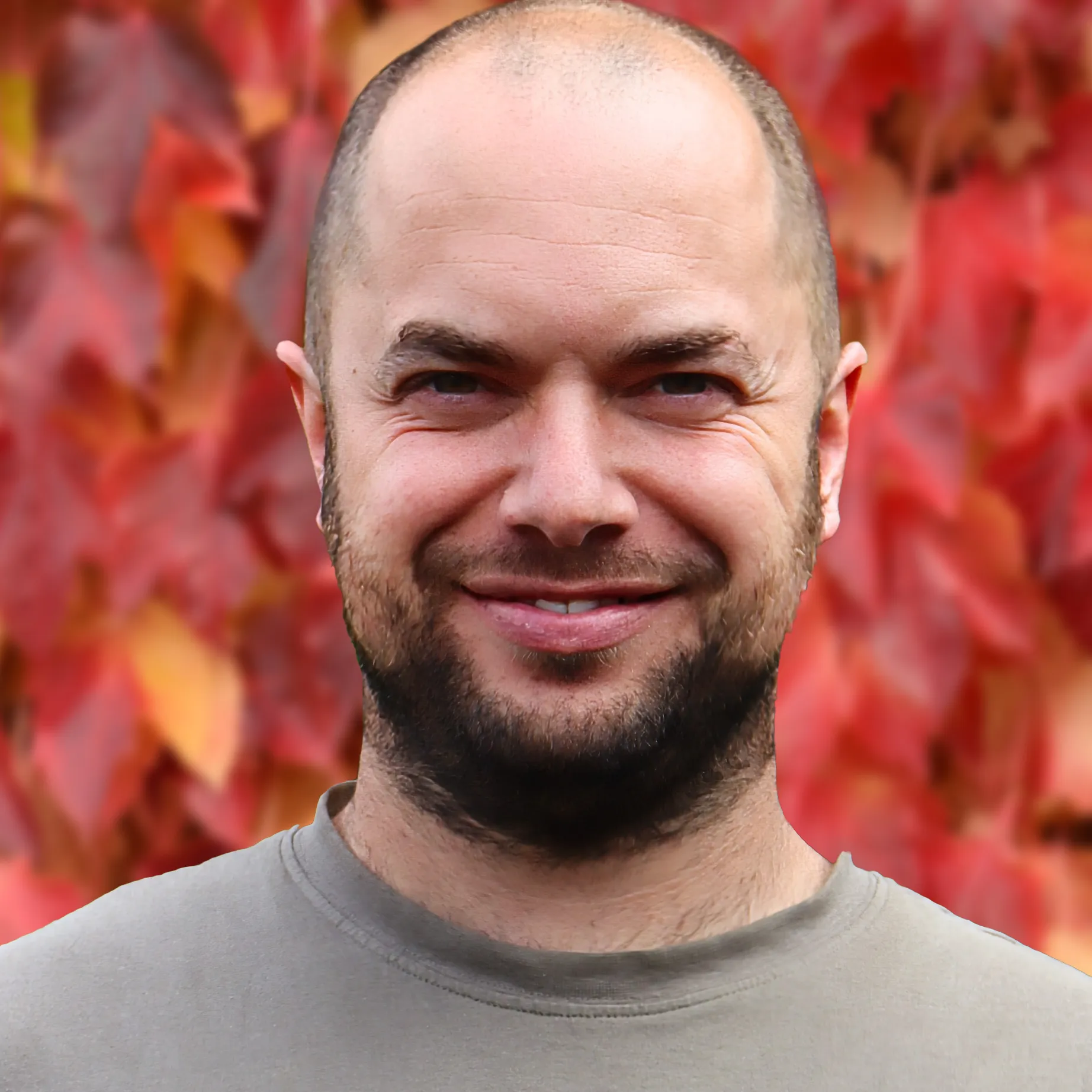 Tomhamments24 Sq Web