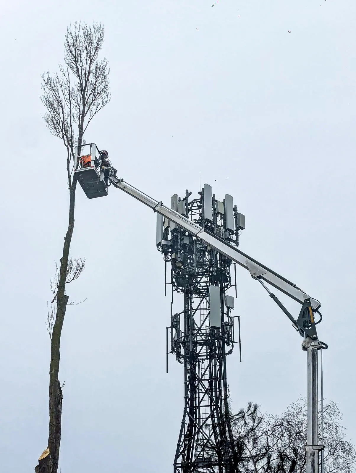 Radiofrequncies Crane