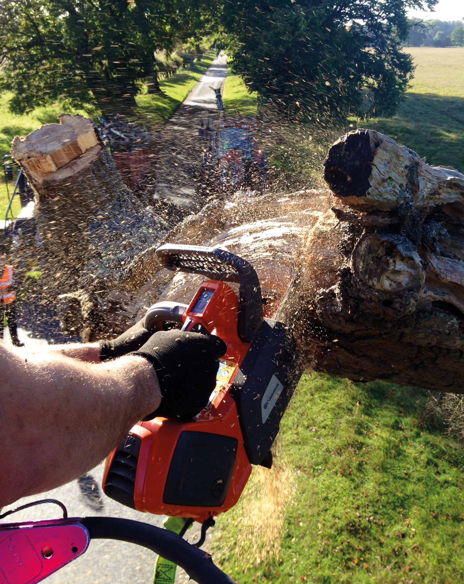 HA Pruning Aerial Pruning7