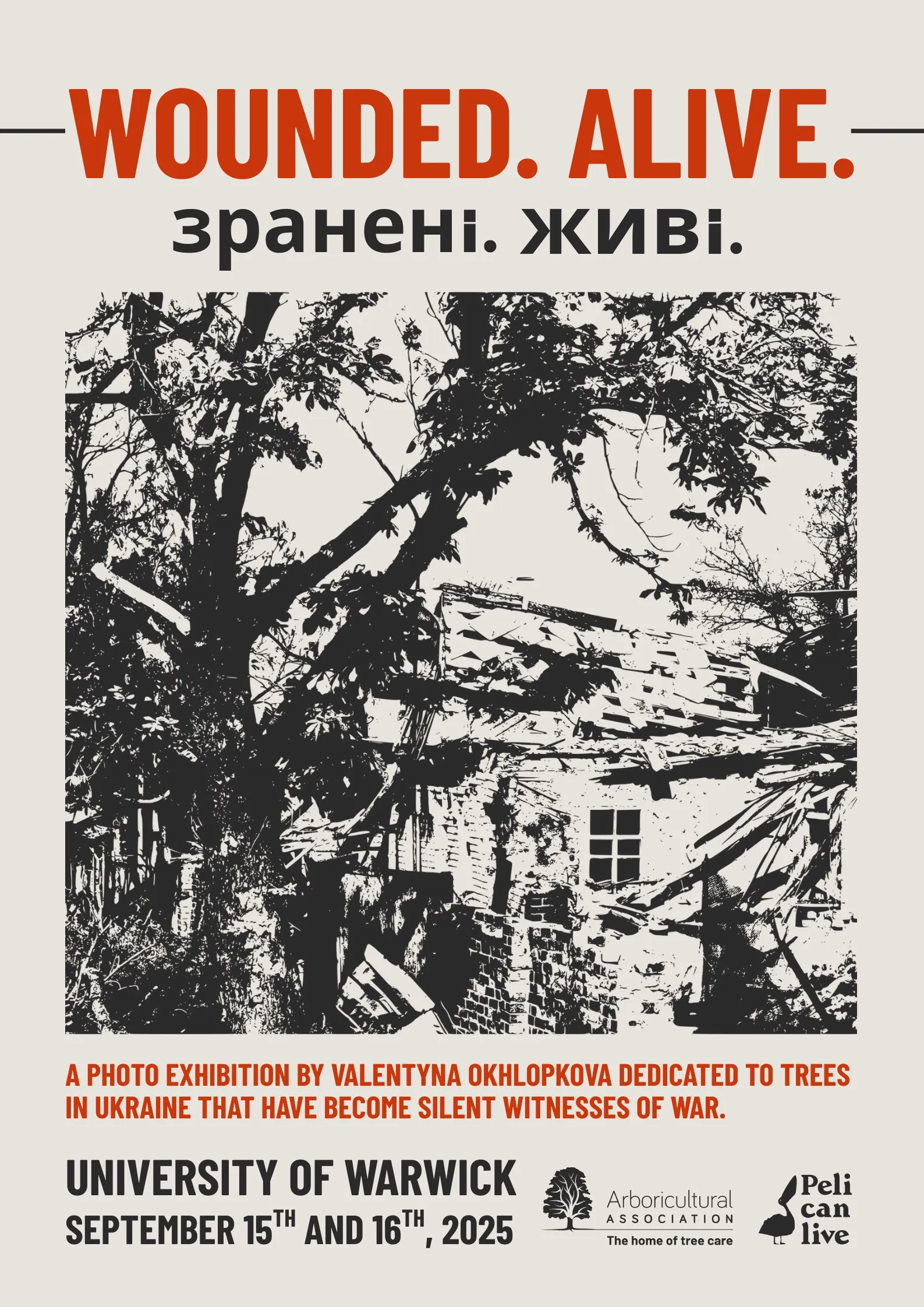 Ukraine A2 Ukraine Poster House