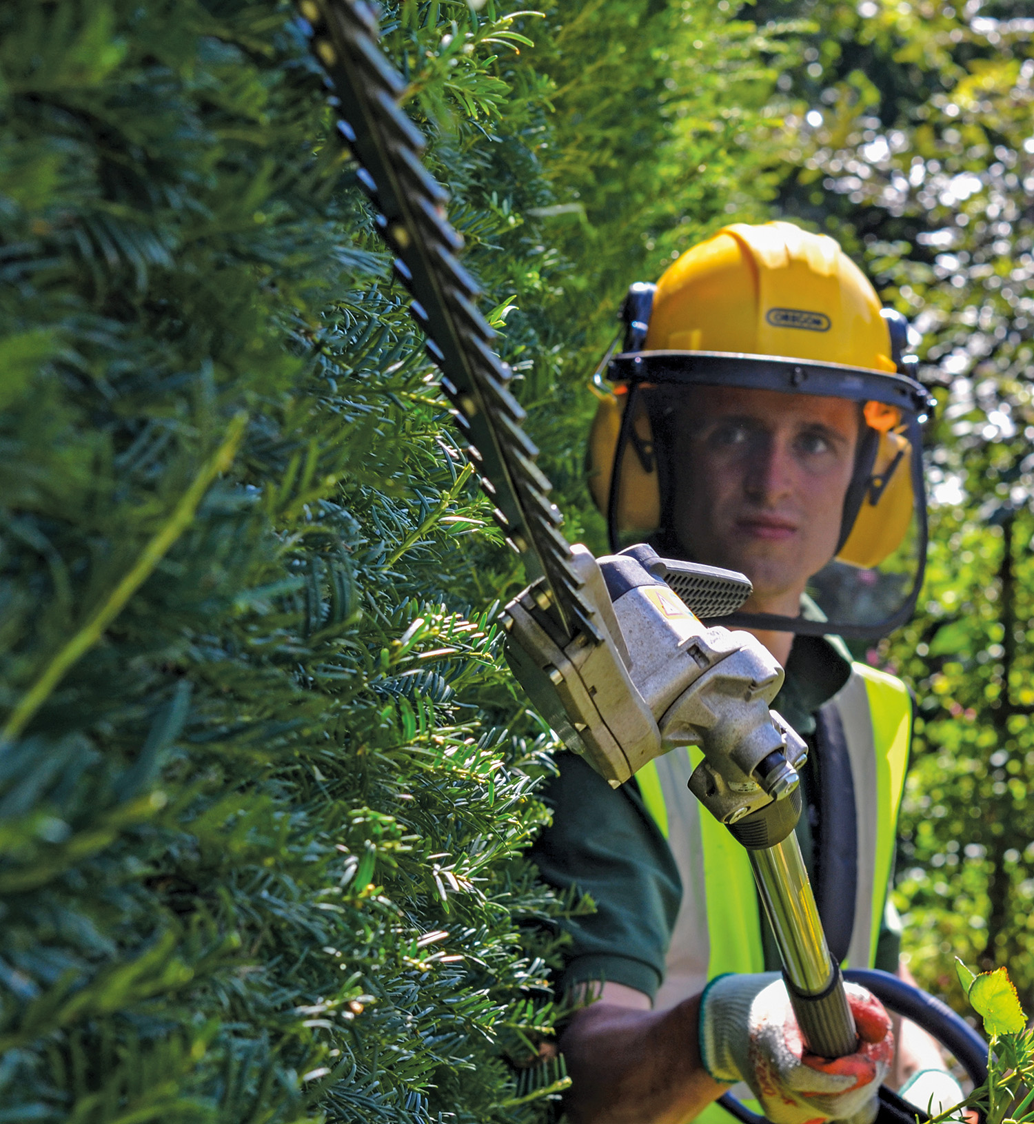 HA Hedges Cuttingayewhedge