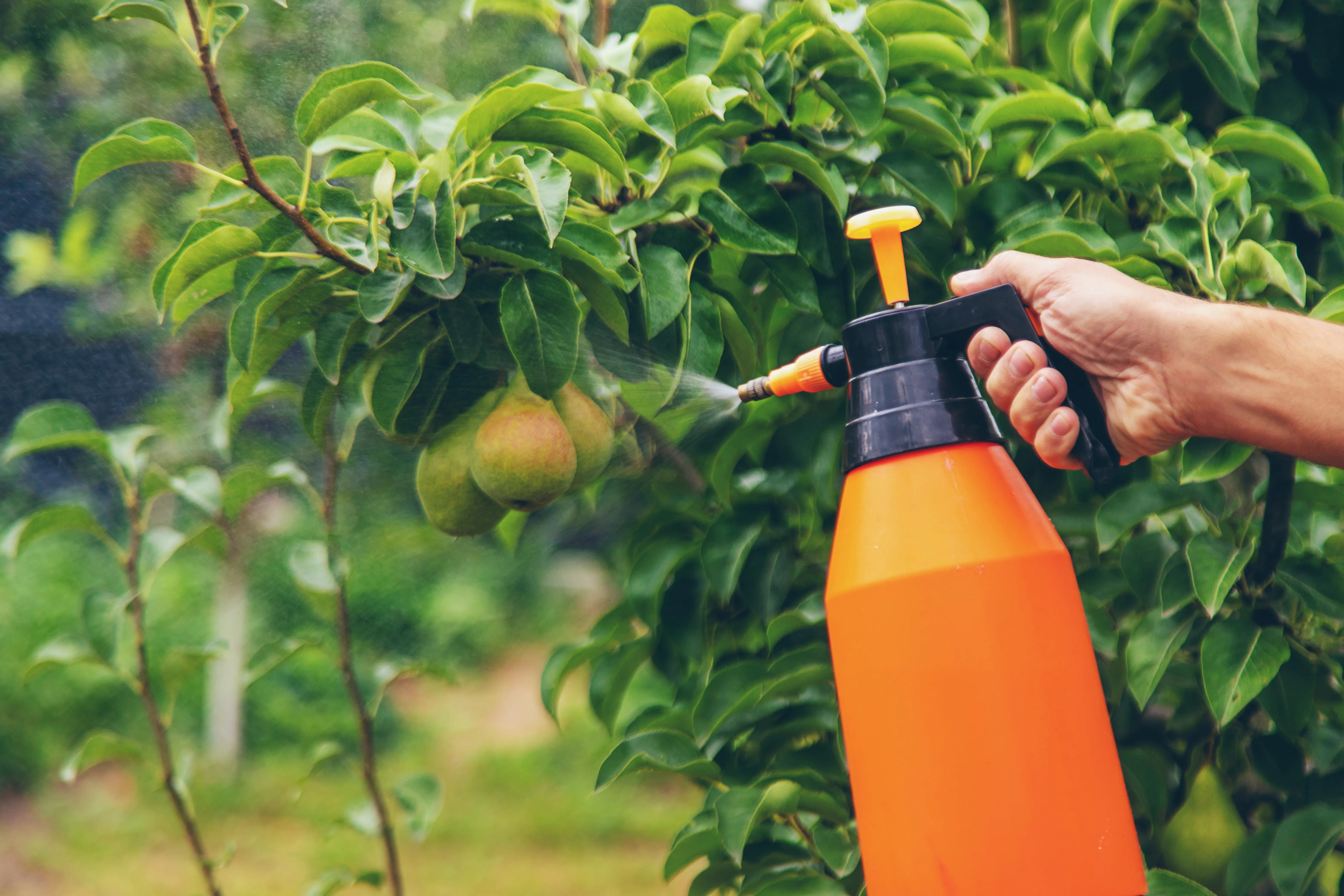 HA Pesticides 26