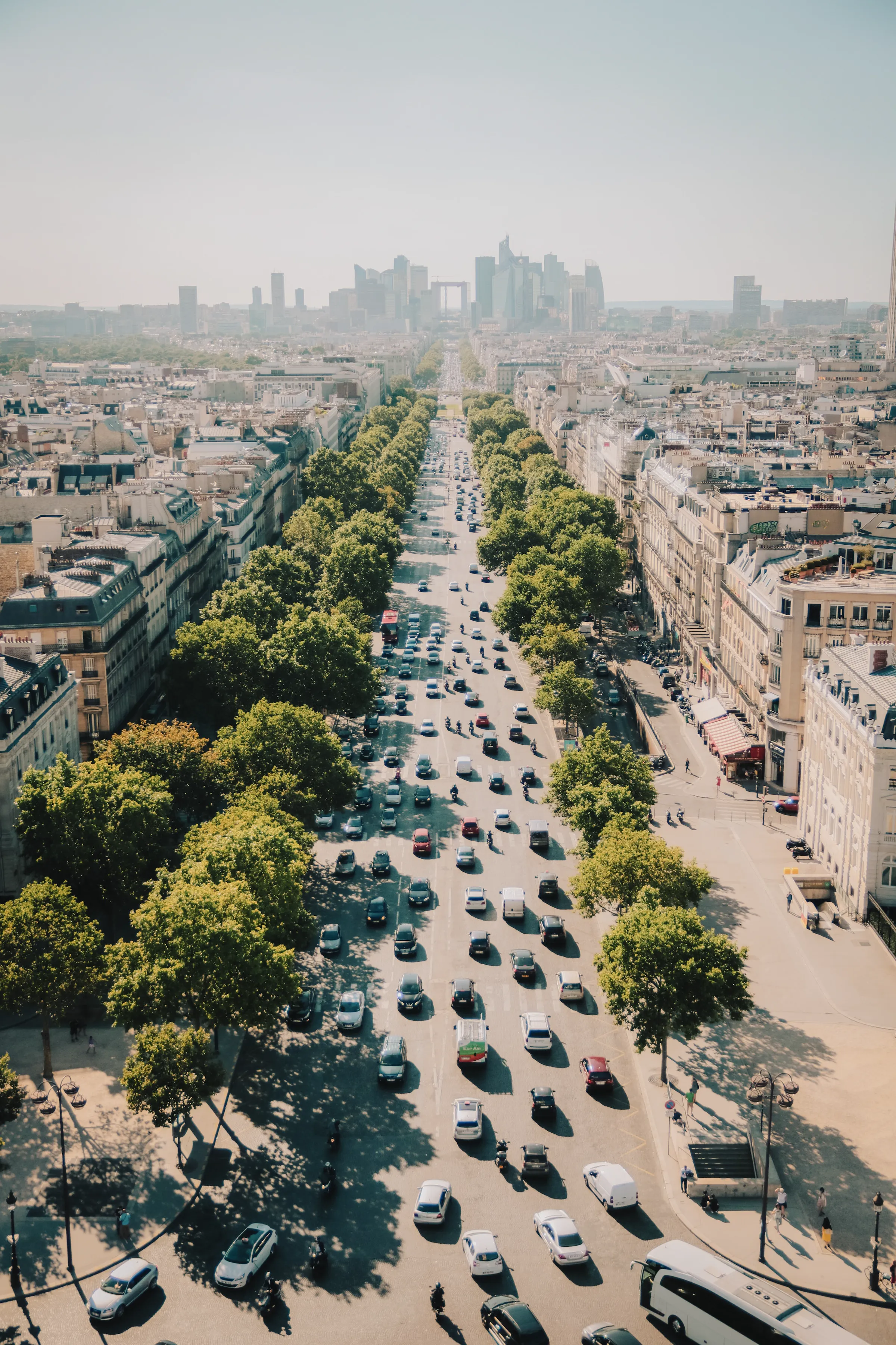 HA Urban Trees 17