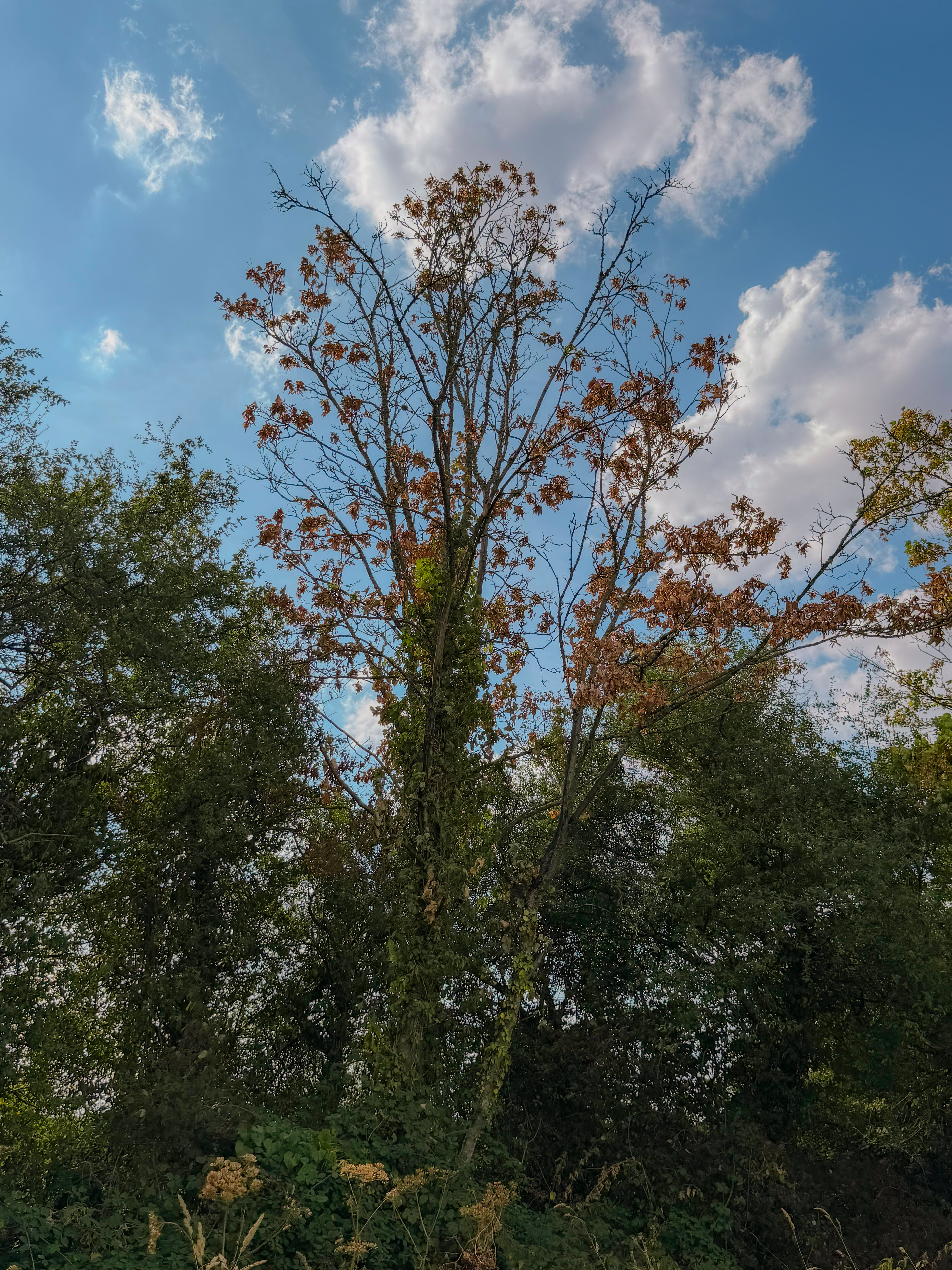 PHOTO 2026 08 25 16 15 41