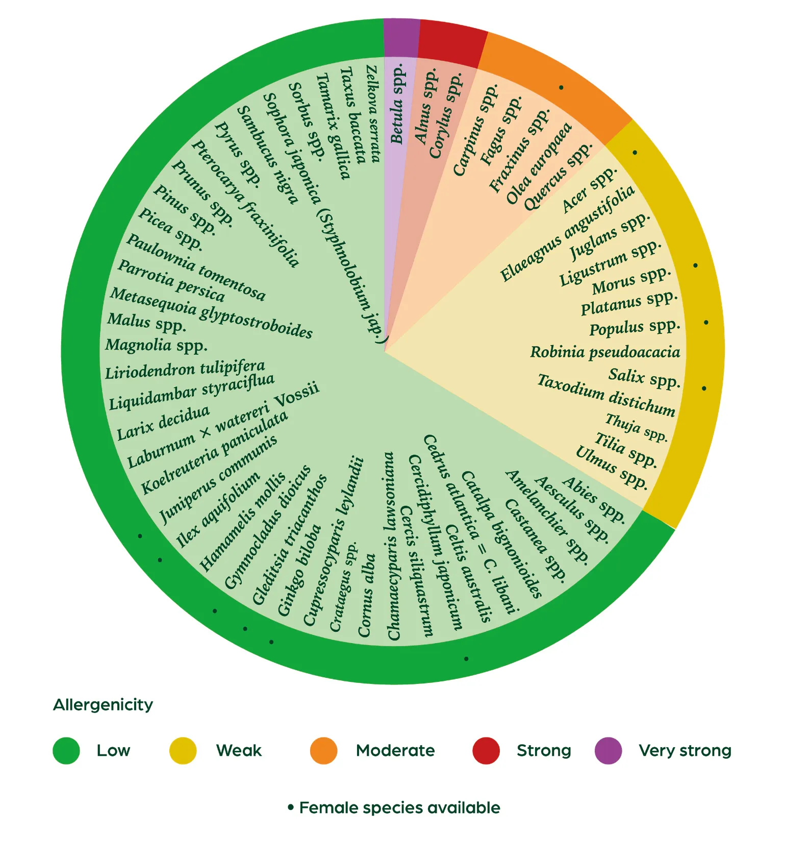 Figure 3: The Tree Pollen Guide for allergenic pollen. This is a simplified version of the guide, leaving out the specific regions where the scientific evidence for allerginicity originated from. This is described in detail in De Weger et al. (2024).