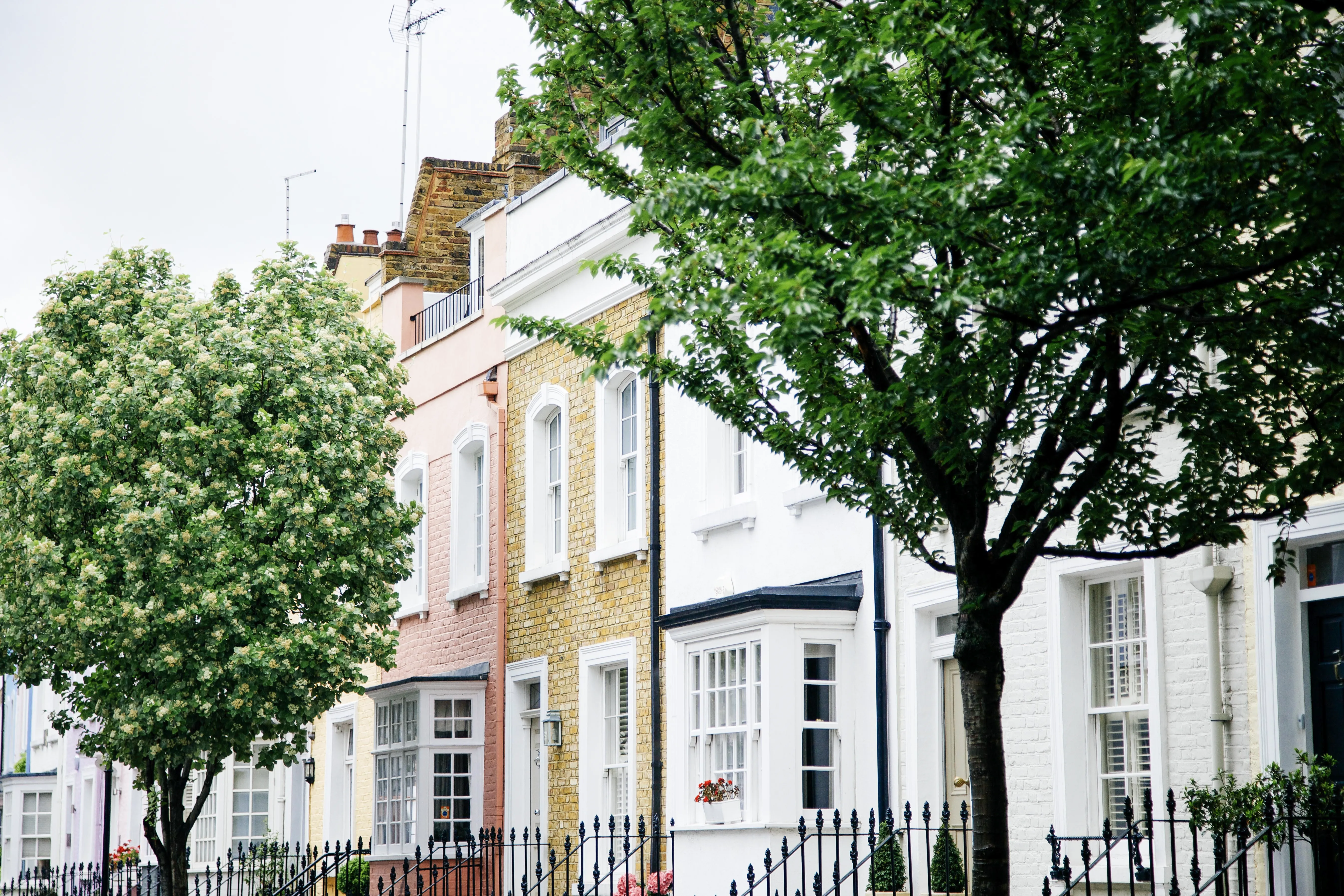 HA Urban Trees 02