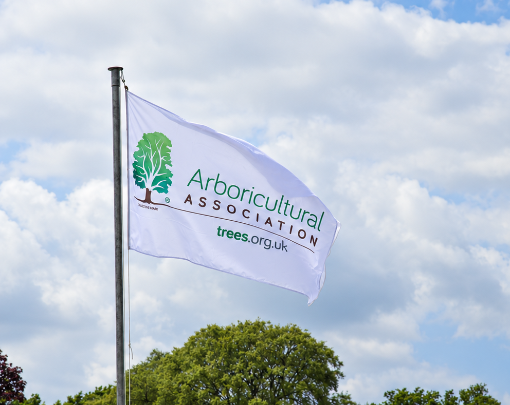 Flag AA (1) CROP