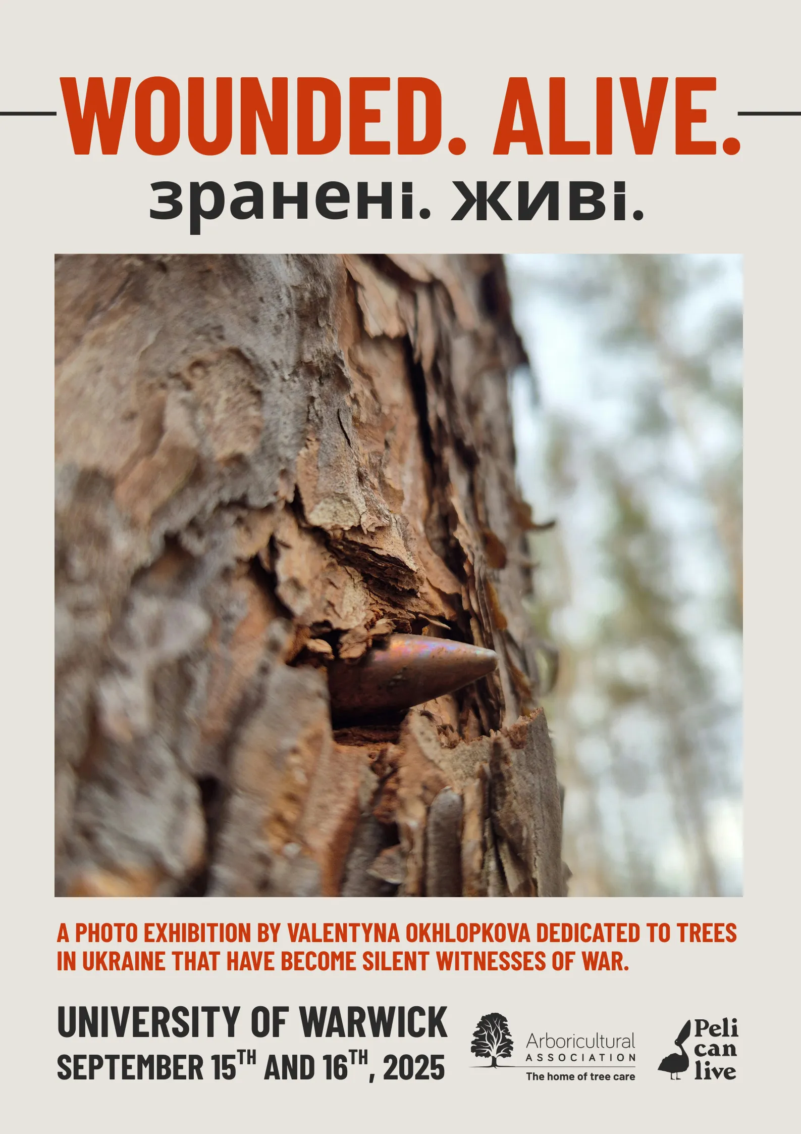 Ukraine A2 Ukraine Poster Bullet