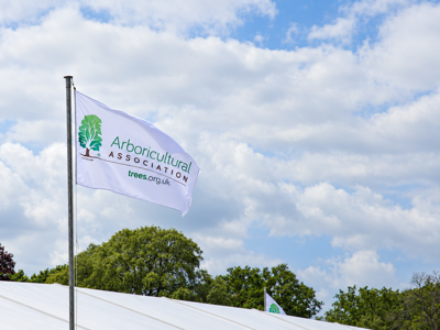 Flag AA (1)