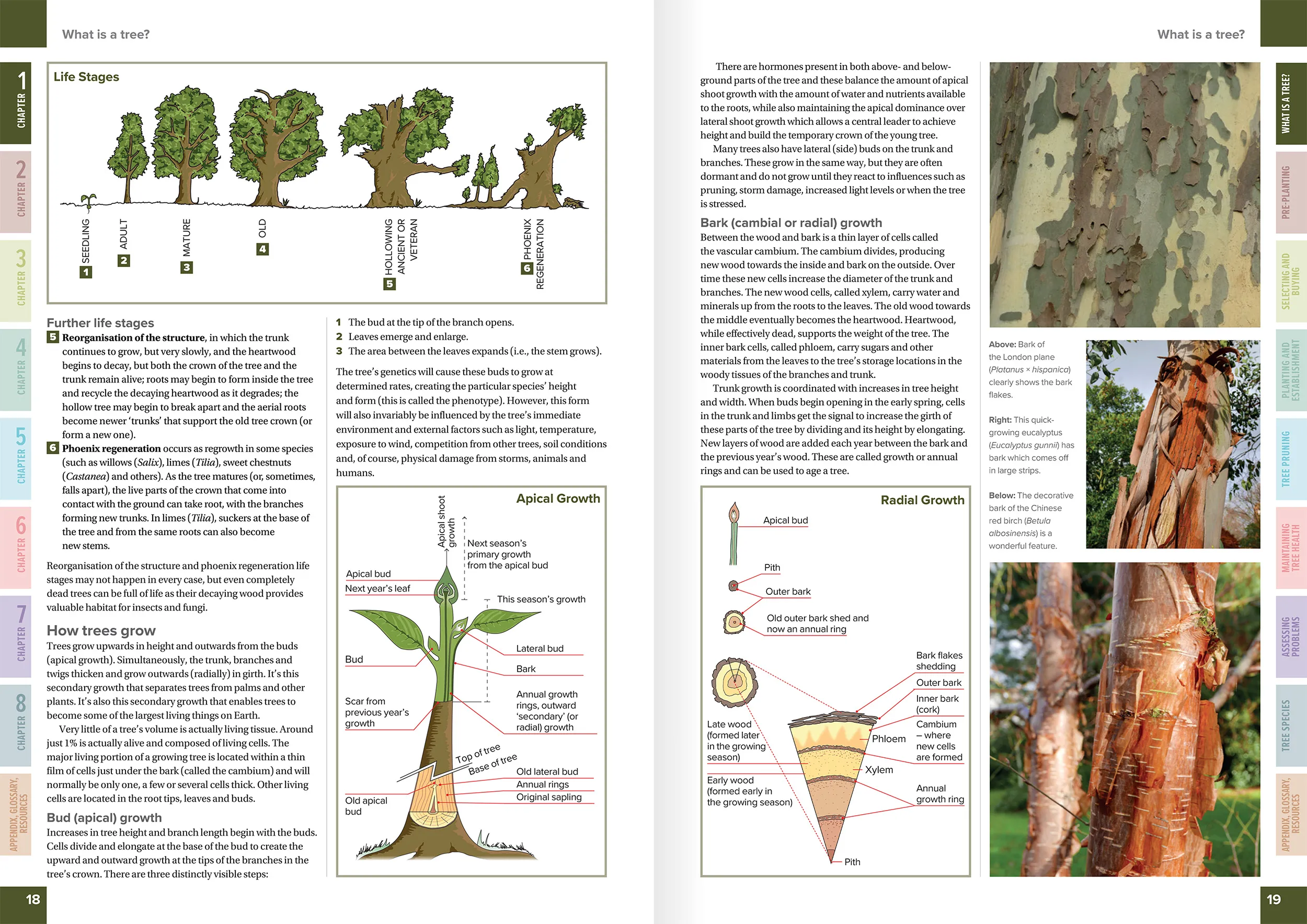 TCM Ch1 Spread1