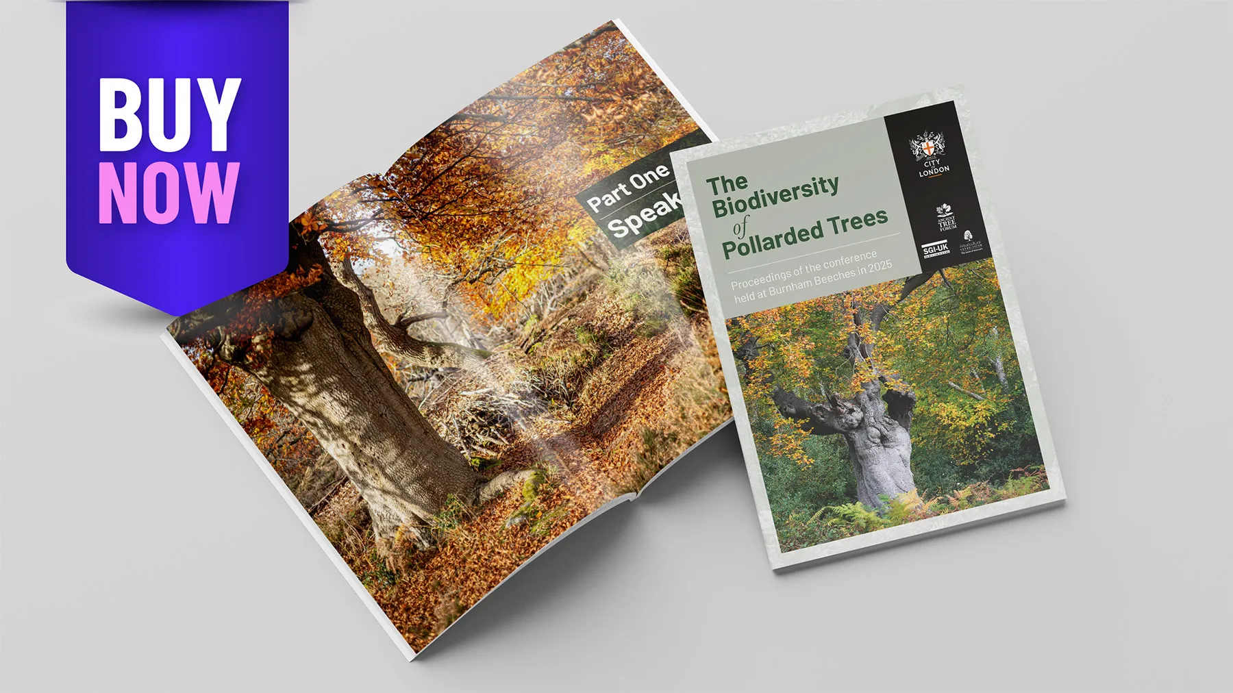 The Biodiversity of Pollarded Trees