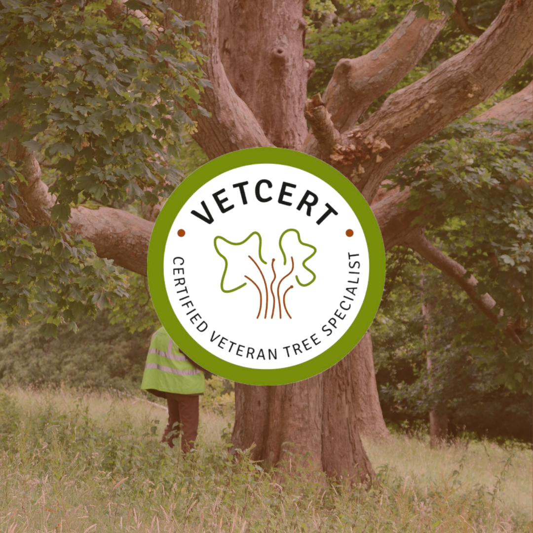 Vetcert Logo