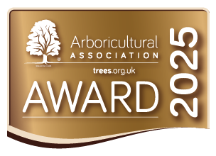 AA Award 2025