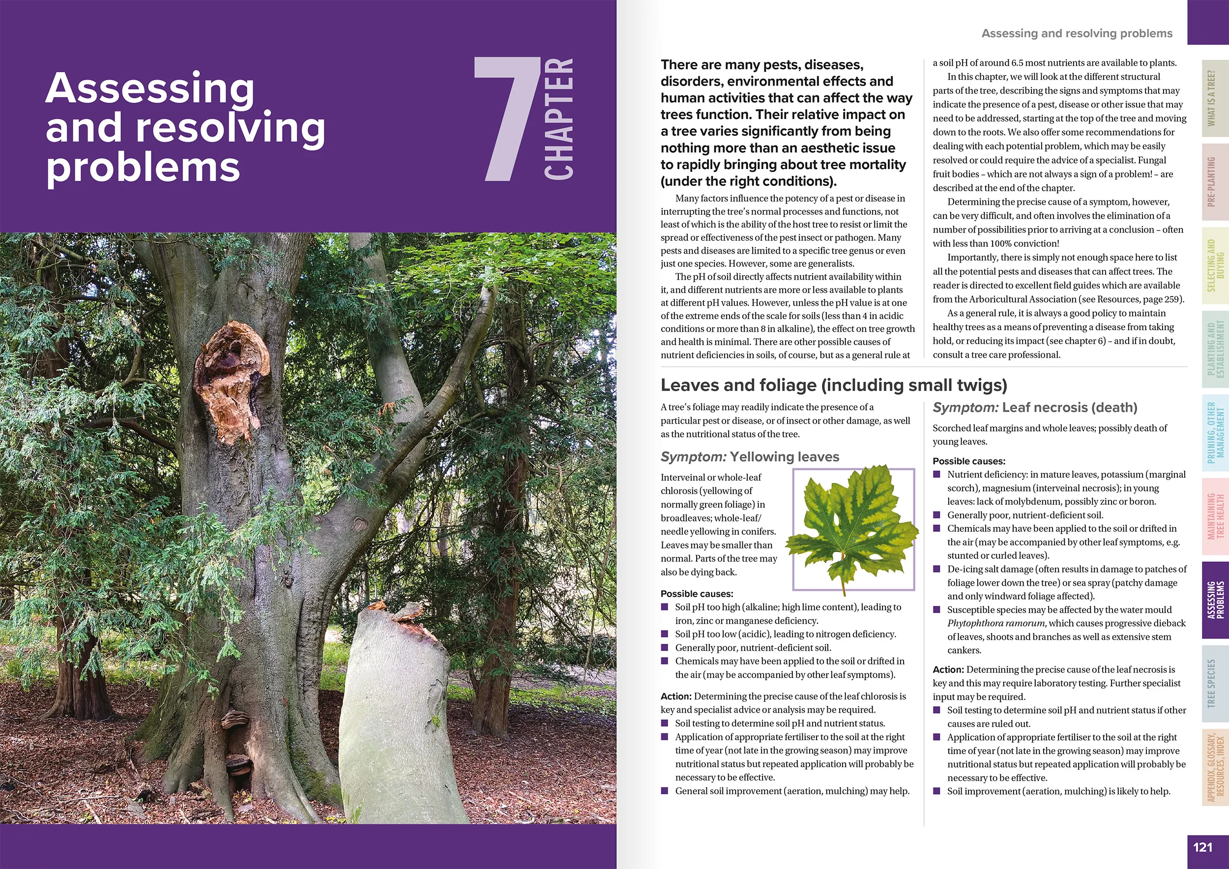 TCM Ch7 Spread1