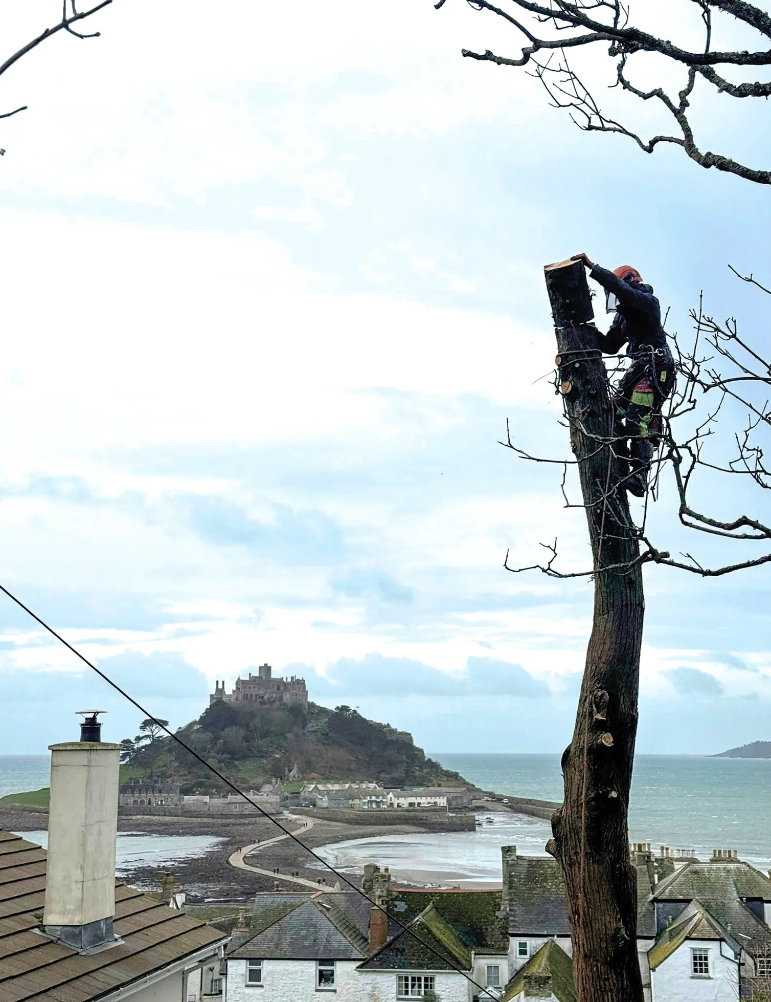 Fiona carrying out sectional felling of a storm damaged tree. St Michael’s Mount is in the background – 80% of its trees were flattened by the storms that hit Cornwall in January 2026.