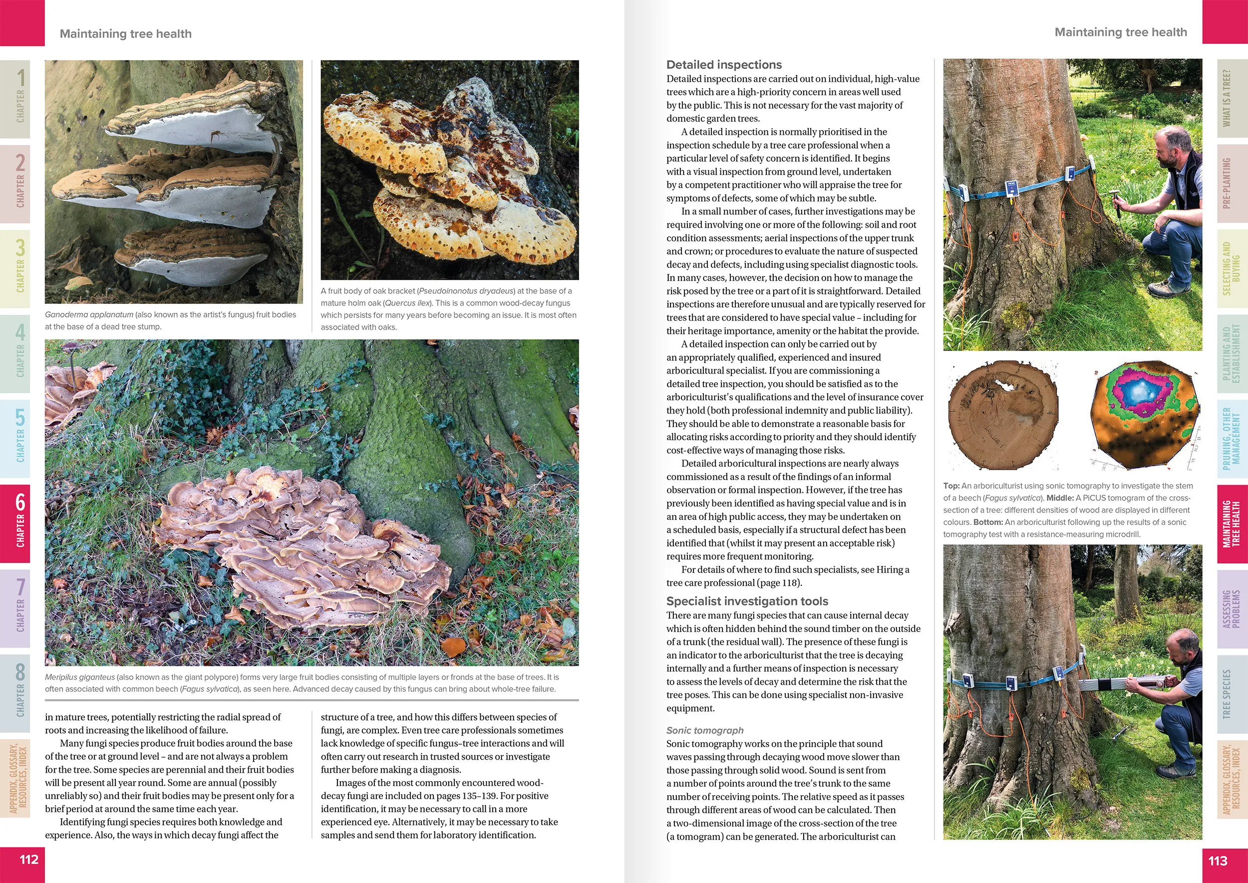 TCM Ch6 Spread1